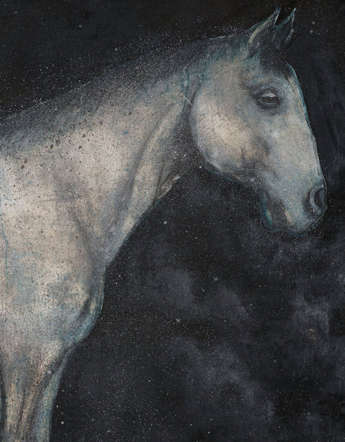HORSE | COMMISSION